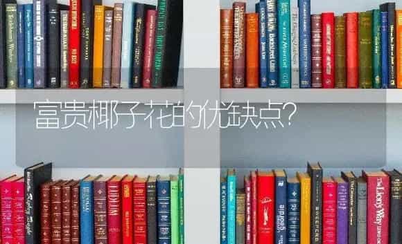 富贵椰子花的优缺点? | 植物问答
