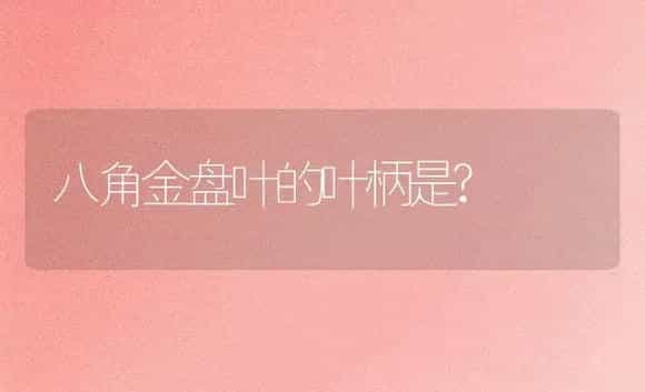 八角金盘叶的叶柄是? | 植物问答