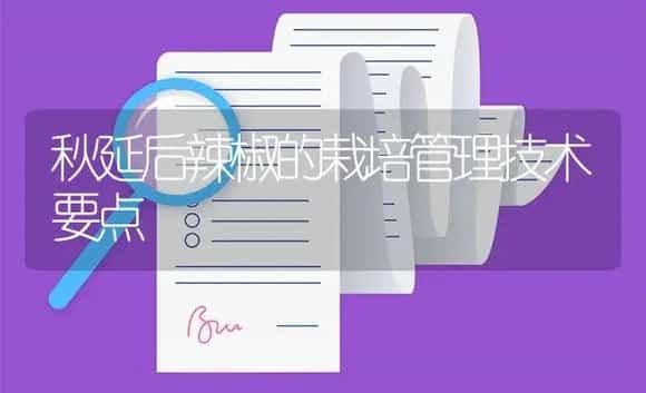 秋延后辣椒的栽培管理技术要点 | 植物百科