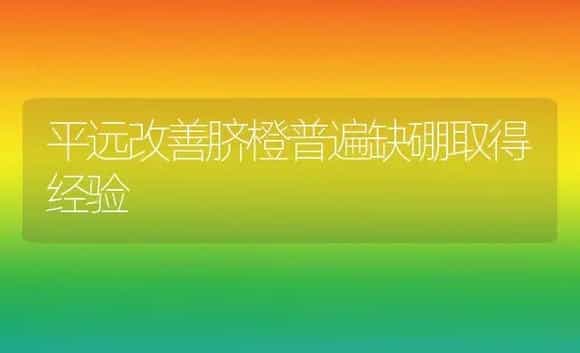 平远改善脐橙普遍缺硼取得经验 | 植物科普
