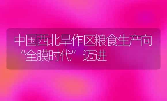 中国西北旱作区粮食生产向“全膜时代”迈进 | 植物科普