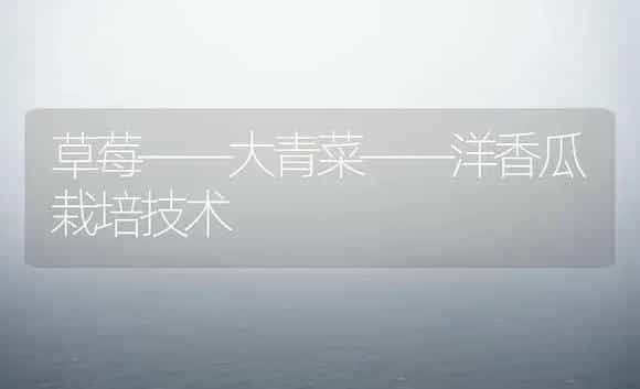 草莓——大青菜——洋香瓜栽培技术 | 植物科普