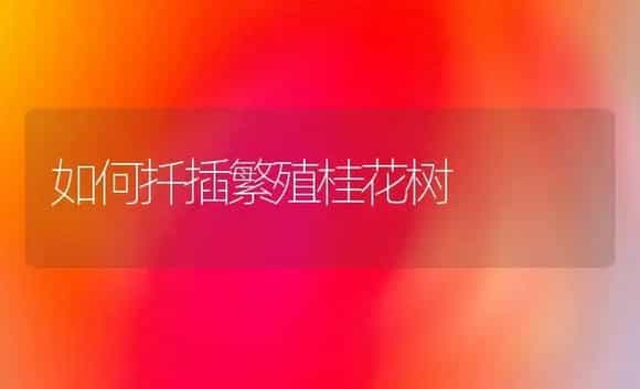 如何扦插繁殖桂花树 | 植物科普