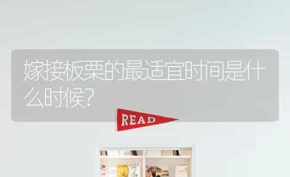 嫁接板栗的最适宜时间是什么时候? | 植物科普