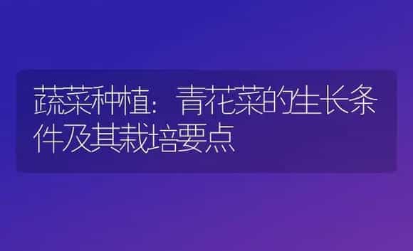 蔬菜种植：青花菜的生长条件及其栽培要点 | 植物科普
