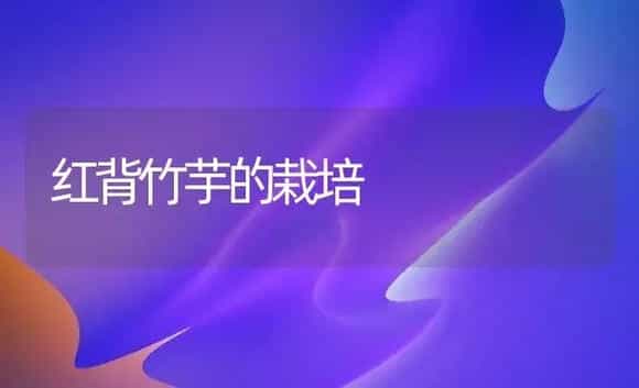 大田玫瑰管理技术 | 植物科普