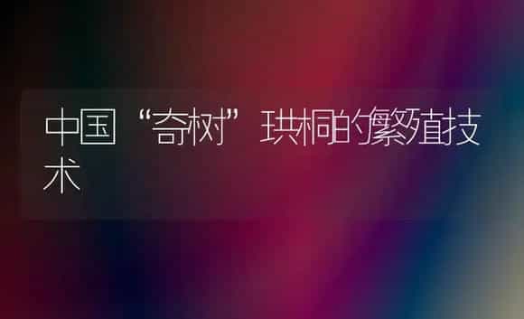 中国“奇树”珙桐的繁殖技术 | 植物科普