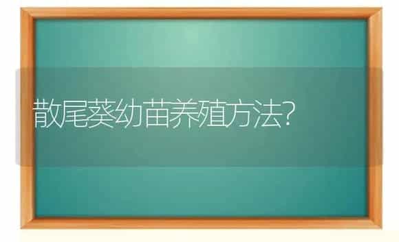 散尾葵幼苗养殖方法？ | 植物问答