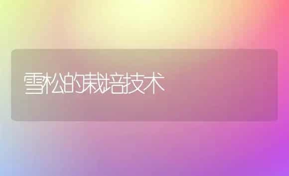 女贞嫁接金叶女贞的方法-花木组培技术 | 植物科普