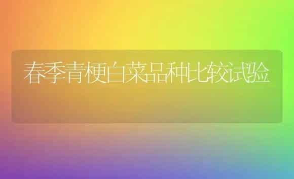 春季青梗白菜品种比较试验 | 植物科普