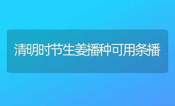 大葱切叶定植效果好 | 植物科普