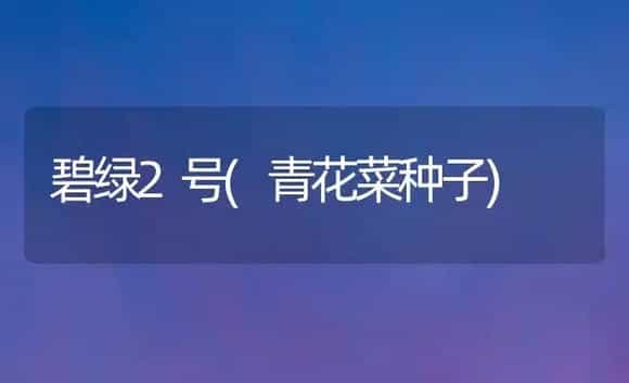 碧绿2号(青花菜种子) | 植物科普