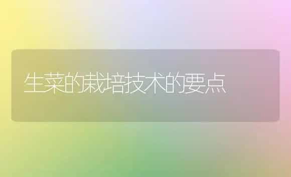 生菜的栽培技术的要点 | 植物科普