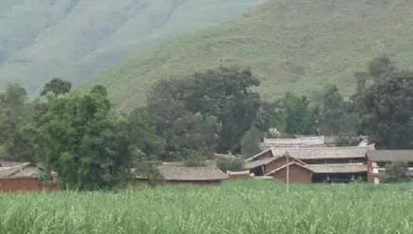 2018种玉米赚钱吗?玉米种植的利润与投资成本及前景预测