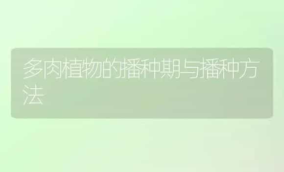 多肉植物的播种期与播种方法 | 植物科普