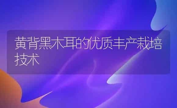 黄背黑木耳的优质丰产栽培技术 | 植物科普