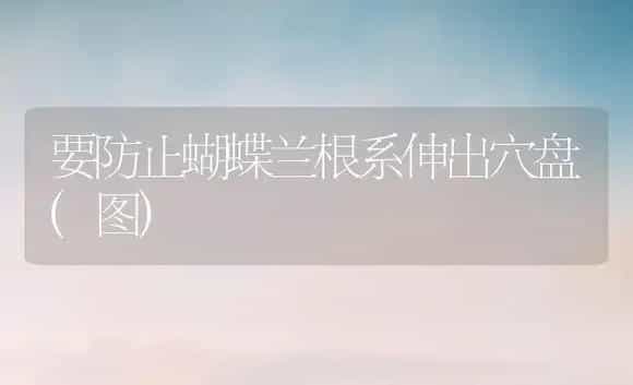 桂花的栽培技术 | 植物科普