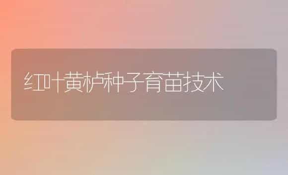 红叶黄栌种子育苗技术 | 植物科普