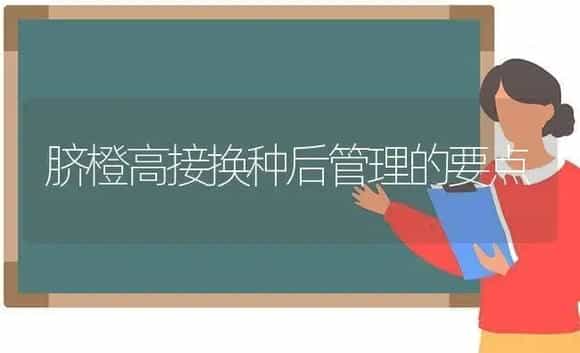 脐橙高接换种后管理的要点 | 植物科普
