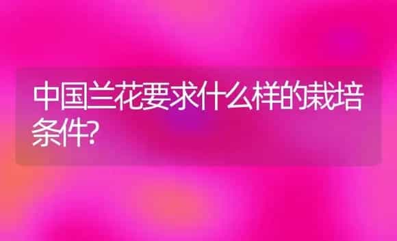 中国兰花要求什么样的栽培条件? | 植物科普