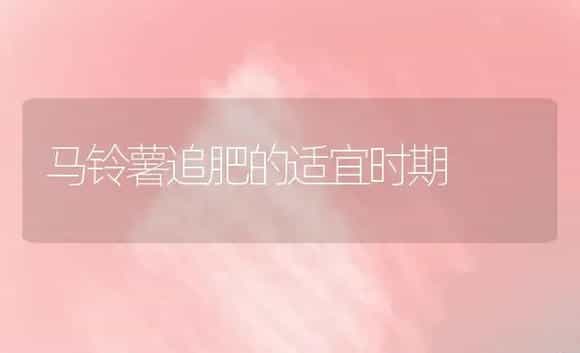 介绍生菜制种高产的栽培技术 | 植物科普