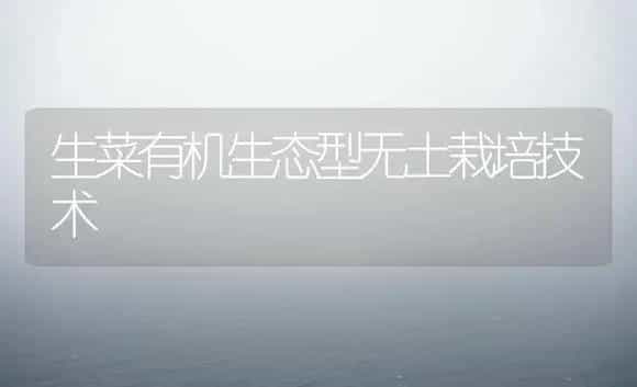 生菜有机生态型无土栽培技术 | 植物科普