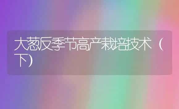 大葱反季节高产栽培技术(下) | 植物科普
