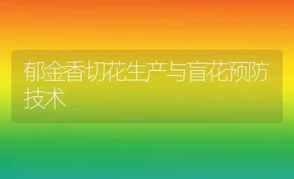 郁金香切花生产与盲花预防技术 | 植物科普