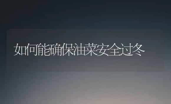 [品种介绍] 木耳的生物学特性 | 植物科普