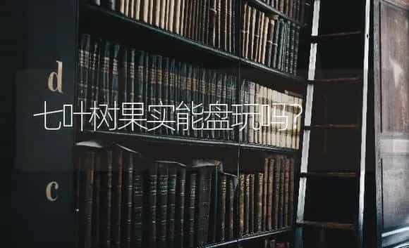 七叶树果实能盘玩吗？ | 植物问答