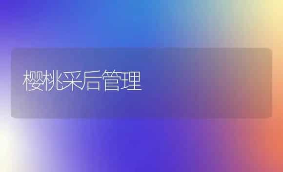樱桃采后管理 | 植物百科
