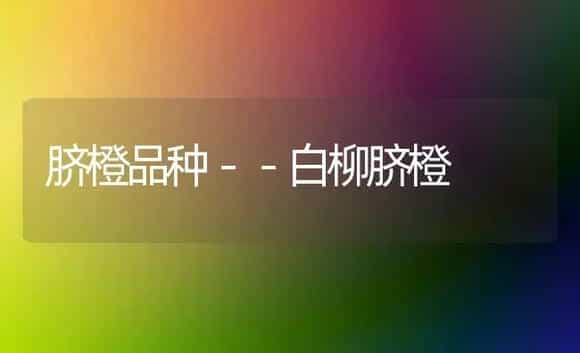脐橙品种－－白柳脐橙 | 植物科普
