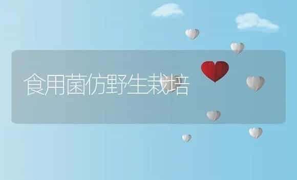 食用菌仿野生栽培 | 植物资料