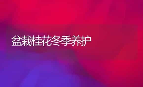 盆栽桂花冬季养护 | 植物科普