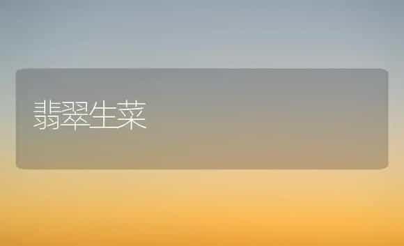 翡翠生菜 | 植物科普
