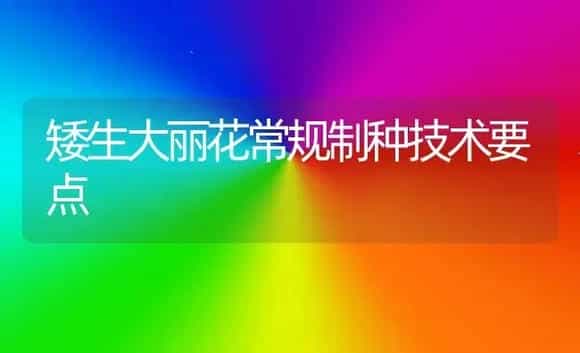 矮生大丽花常规制种技术要点 | 植物科普