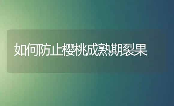 如何防止樱桃成熟期裂果 | 植物科普