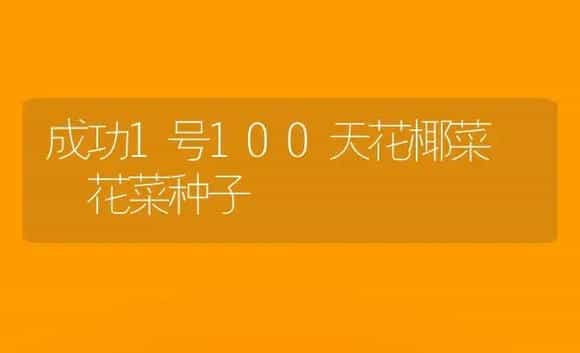 成功1号100天花椰菜――花菜种子 | 植物科普