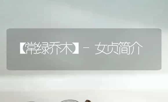 【常绿乔木】-女贞简介 | 植物科普