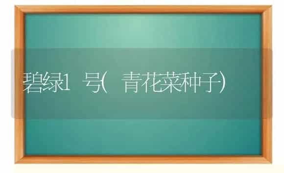 碧绿1号(青花菜种子) | 植物科普