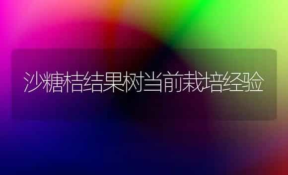 苹果无毒新品种介绍 | 植物百科