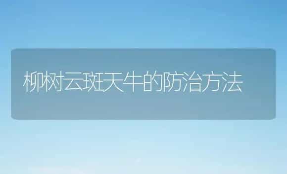 柳树云斑天牛的防治方法 | 植物科普