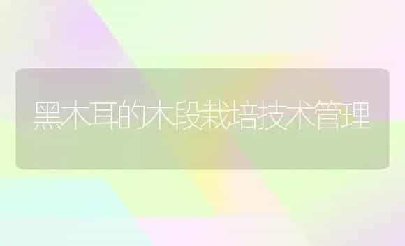 黑木耳的木段栽培技术管理 | 植物科普