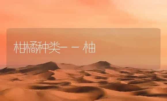 柑橘种类--柚 | 植物百科