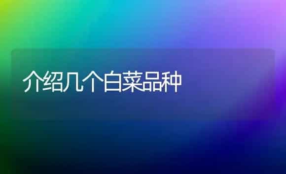 介绍几个白菜品种 | 植物科普