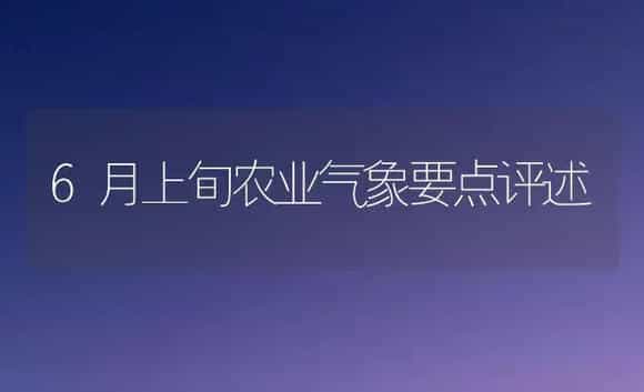 中杂108番茄 | 植物科普