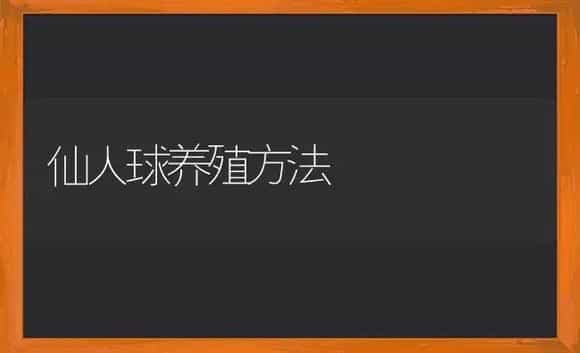 仙人球养殖方法 | 植物科普