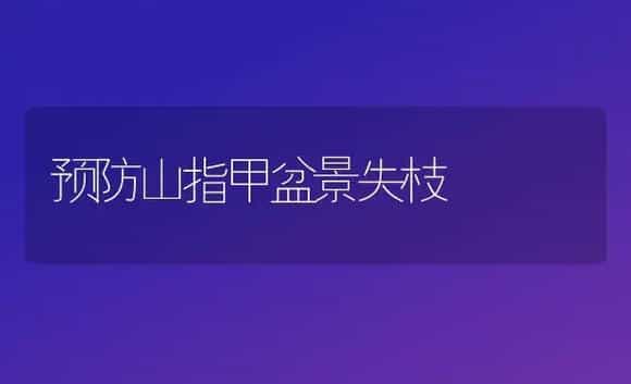 预防山指甲盆景失枝 | 植物科普