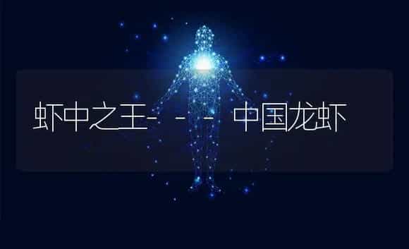 虾中之王---中国龙虾 | 植物科普
