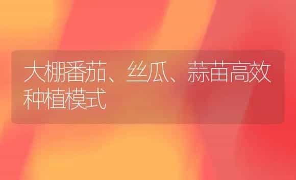 大棚番茄、丝瓜、蒜苗高效种植模式 | 植物科普